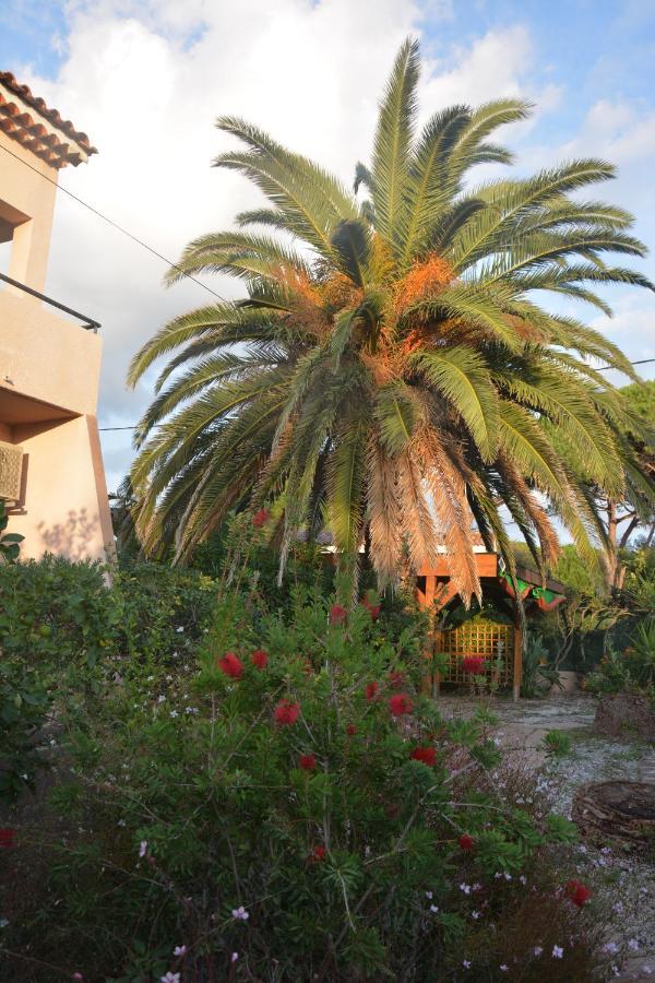 Apartament Rose De Sel Hyères Zewnętrze zdjęcie