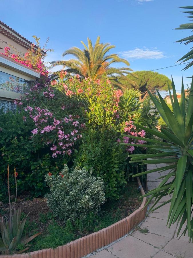 Apartament Rose De Sel Hyères Zewnętrze zdjęcie