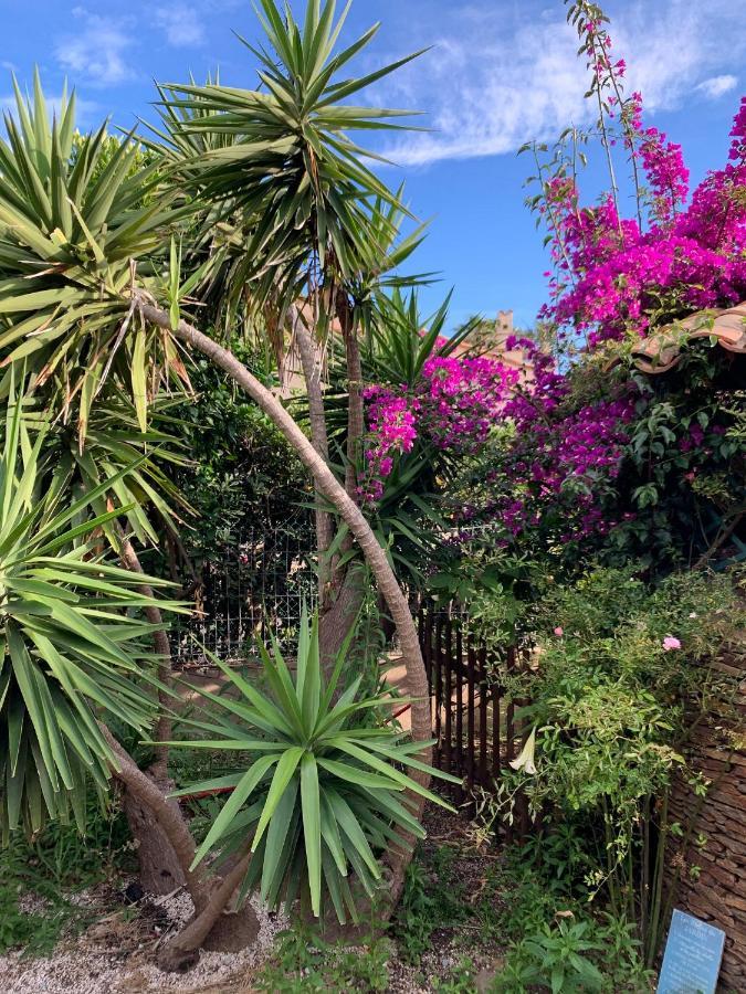 Apartament Rose De Sel Hyères Zewnętrze zdjęcie